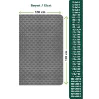 Paralı Paspas ( Para- Para ) Coin Mat Gri Renk